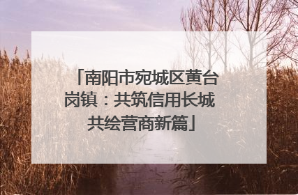南阳市宛城区黄台岗镇：共筑信用长城 共绘营商新篇