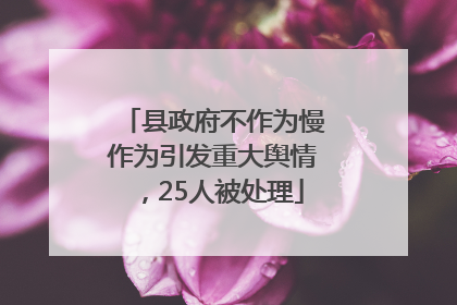 县政府不作为慢作为引发重大舆情，25人被处理