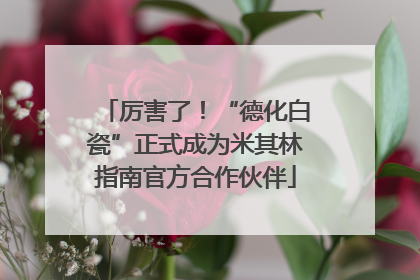 厉害了！“德化白瓷”正式成为米其林指南官方合作伙伴