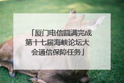 厦门电信圆满完成第十七届海峡论坛大会通信保障任务