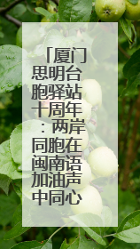 厦门思明台胞驿站十周年：两岸同胞在闽南语加油声中同心接力