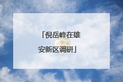 倪岳峰在雄安新区调研