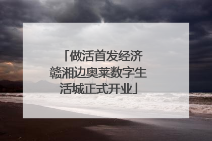 做活首发经济 赣湘边奥莱数字生活城正式开业