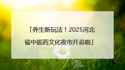 养生新玩法！2025河北省中医药文化夜市开幕啦