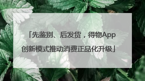 先鉴别、后发货，得物App创新模式推动消费正品化升级