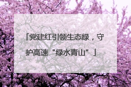 党建红引领生态绿，守护高速“绿水青山”
