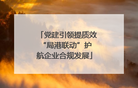 党建引领提质效 “局港联动”护航企业合规发展