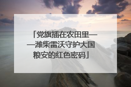 党旗插在农田里——潍柴雷沃守护大国粮安的红色密码