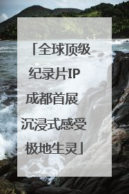 全球顶级纪录片IP成都首展 沉浸式感受极地生灵