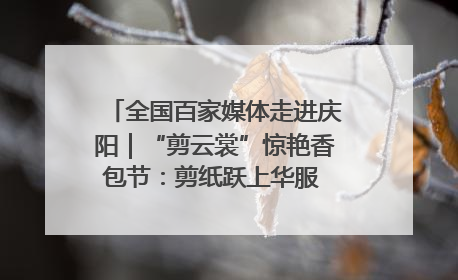 全国百家媒体走进庆阳｜“剪云裳”惊艳香包节：剪纸跃上华服 非遗焕发新彩