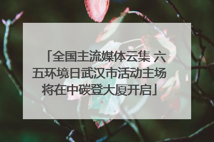 全国主流媒体云集 六五环境日武汉市活动主场将在中碳登大厦开启