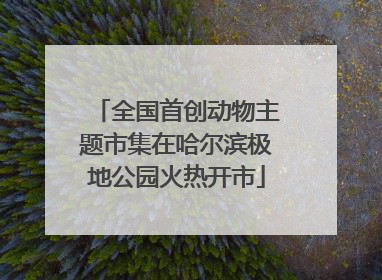 全国首创动物主题市集在哈尔滨极地公园火热开市
