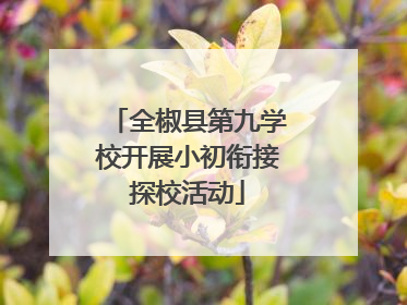 全椒县第九学校开展小初衔接探校活动