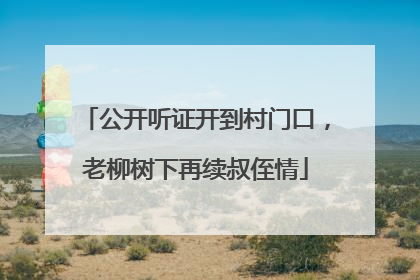 公开听证开到村门口，老柳树下再续叔侄情