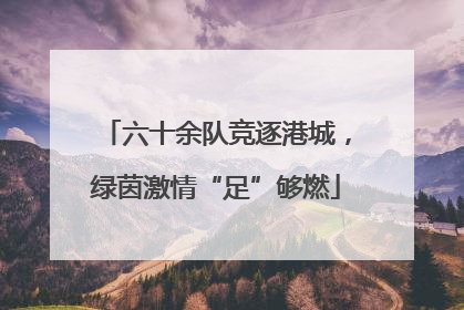 六十余队竞逐港城，绿茵激情“足”够燃