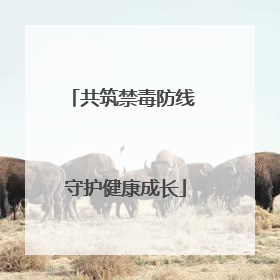 共筑禁毒防线 守护健康成长