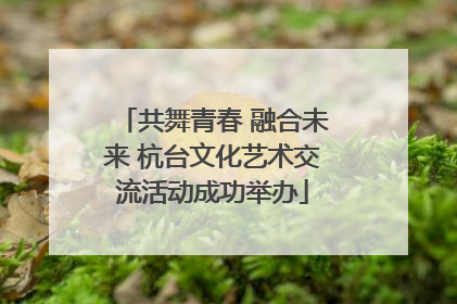 共舞青春 融合未来 杭台文化艺术交流活动成功举办