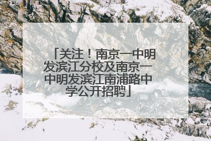 关注！南京一中明发滨江分校及南京一中明发滨江南浦路中学公开招聘