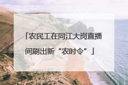 农民工在同江大岗直播间刷出新“农时令”