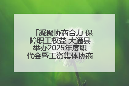 凝聚协商合力 保障职工权益 大通县举办2025年度职代会暨工资集体协商现场观摩交流活动