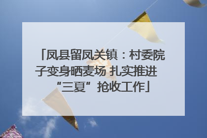 凤县留凤关镇：村委院子变身晒麦场 扎实推进“三夏”抢收工作