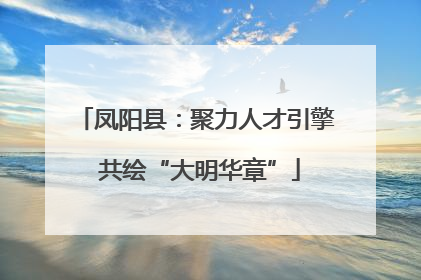 凤阳县：聚力人才引擎 共绘“大明华章”