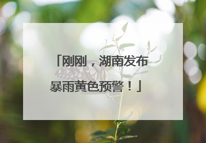 刚刚，湖南发布暴雨黄色预警！