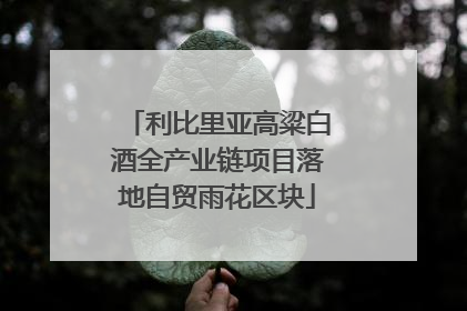 利比里亚高粱白酒全产业链项目落地自贸雨花区块
