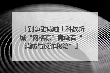别争甜咸啦！科教新城“网格粽”竟藏着“消防与反诈秘籍”