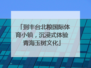 到丰台北粮国际体育小镇，沉浸式体验青海玉树文化