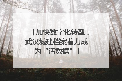 加快数字化转型，武汉城建档案着力成为“活数据”