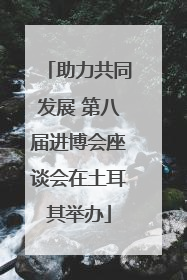 助力共同发展 第八届进博会座谈会在土耳其举办