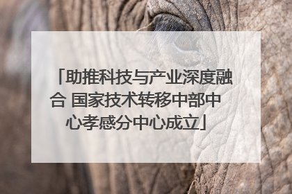 助推科技与产业深度融合 国家技术转移中部中心孝感分中心成立