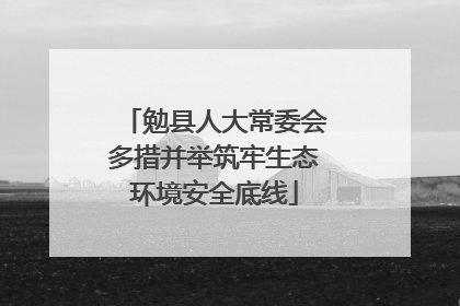 勉县人大常委会多措并举筑牢生态环境安全底线