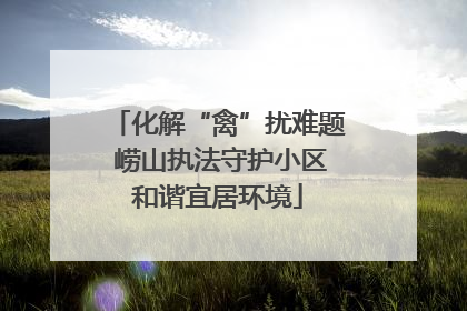 化解“禽”扰难题 崂山执法守护小区和谐宜居环境
