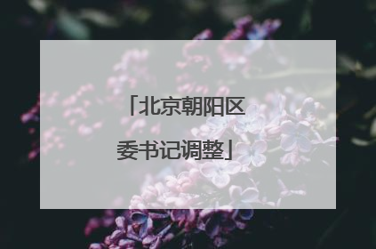 北京朝阳区委书记调整