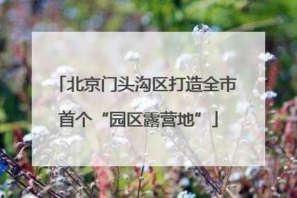 北京门头沟区打造全市首个“园区露营地”