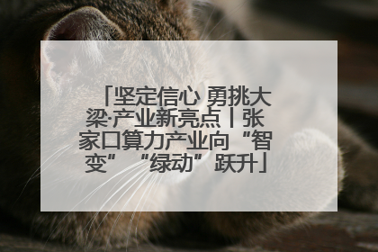 坚定信心 勇挑大梁·产业新亮点丨张家口算力产业向“智变”“绿动”跃升