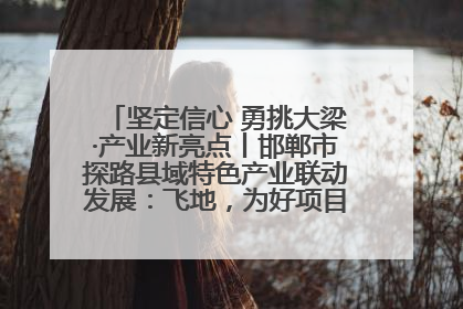 坚定信心 勇挑大梁·产业新亮点丨邯郸市探路县域特色产业联动发展：飞地，为好项目跨域安个家