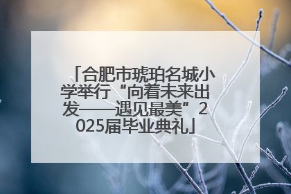 合肥市琥珀名城小学举行“向着未来出发——遇见最美”2025届毕业典礼