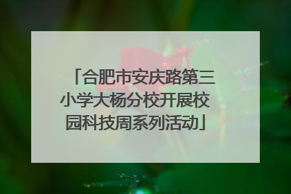 合肥市安庆路第三小学大杨分校开展校园科技周系列活动