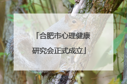 合肥市心理健康研究会正式成立