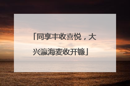 同享丰收喜悦，大兴瀛海麦收开镰