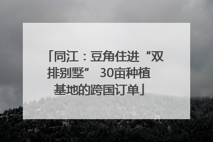 同江：豆角住进“双排别墅” 30亩种植基地的跨国订单