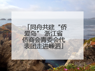 同舟共建“侨爱岛” 浙江省侨商会青委会代表团走进嵊泗