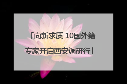 向新求质 10国外籍专家开启西安调研行