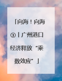向海！向海③丨广州港口经济释放“乘数效应”