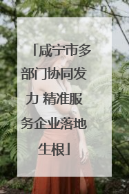 咸宁市多部门协同发力 精准服务企业落地生根