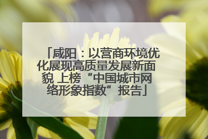 咸阳：以营商环境优化展现高质量发展新面貌 上榜“中国城市网络形象指数”报告