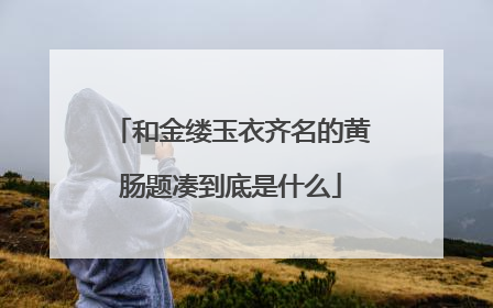 和金缕玉衣齐名的黄肠题凑到底是什么